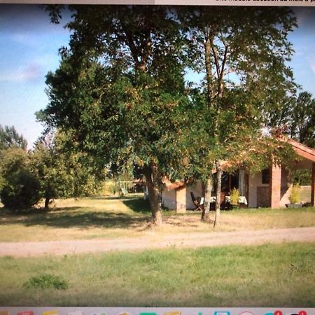 Location Gite 4 Personnes Mazeres - La Petite Maison المظهر الخارجي الصورة