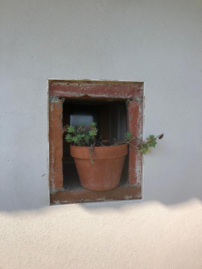 Location Gite 4 Personnes Mazeres - La Petite Maison المظهر الخارجي الصورة